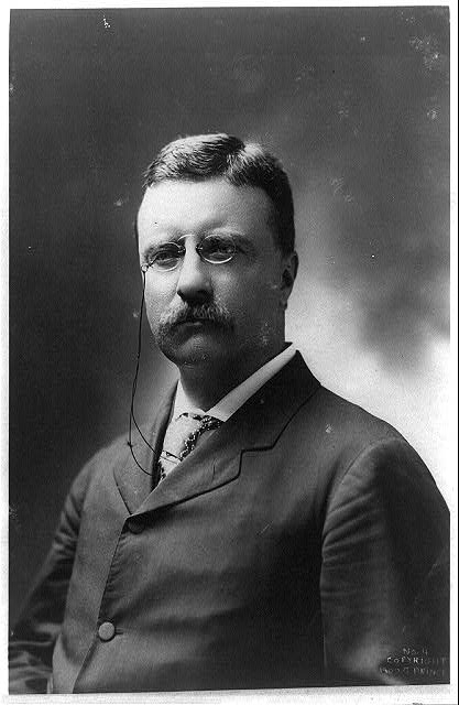 [Theodore Roosevelt, half-length portrait, facing left]