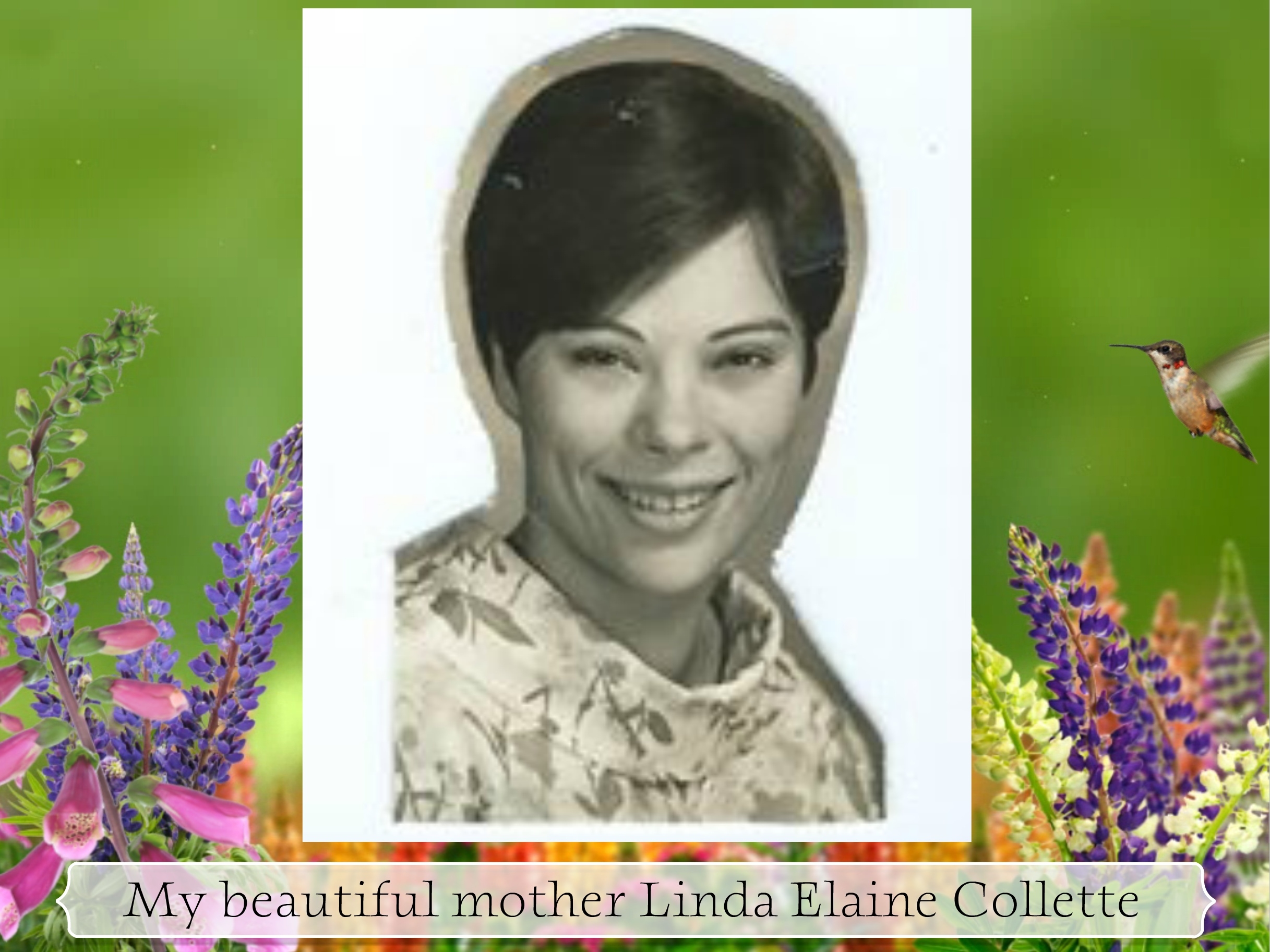 Linda Elaine Collette
