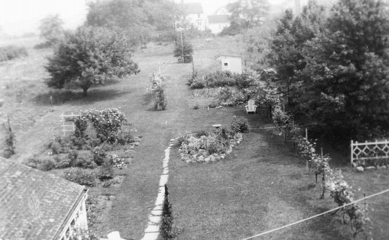 Ruth & Burt Allen's Backyard