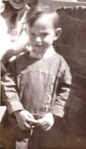 Willem de Koning Willem de Koning