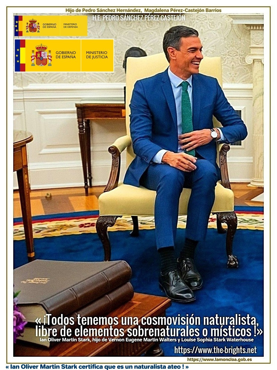 Pedro Sánchez Pérez-Castejón 