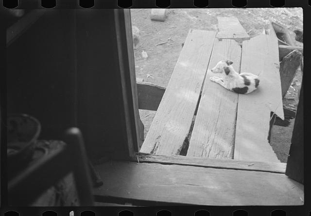 [Untitled]