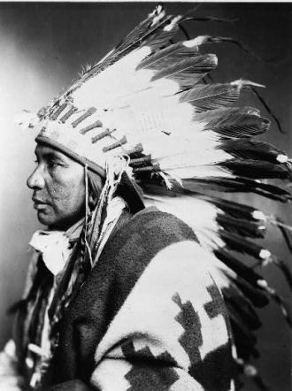 Sego - Shoshone Indian