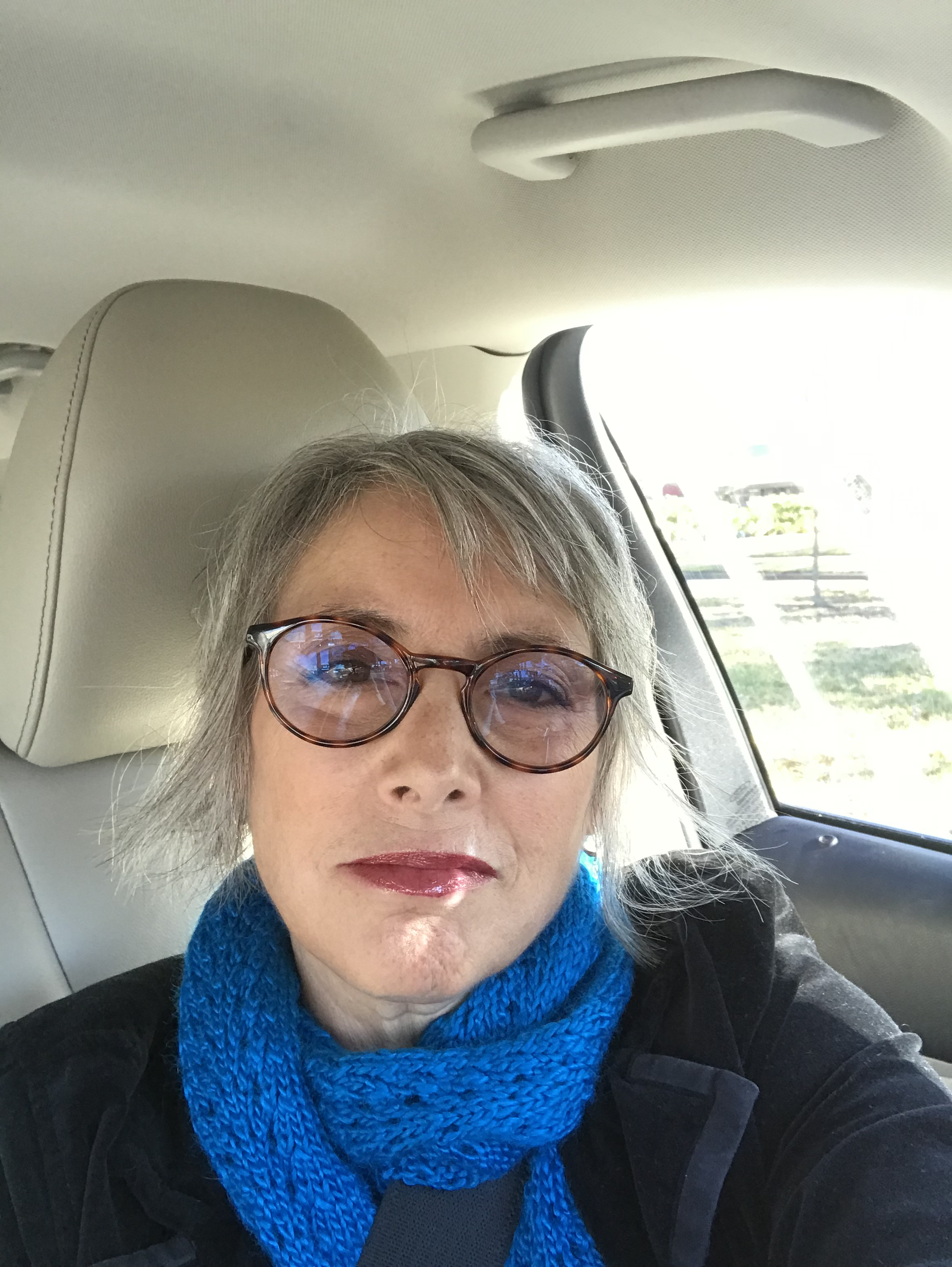 Vicki Lynn Singer Norris