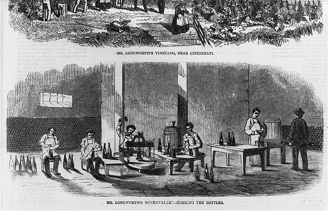 [Corking bottles in Mr. Longworth's wine cellars near...
