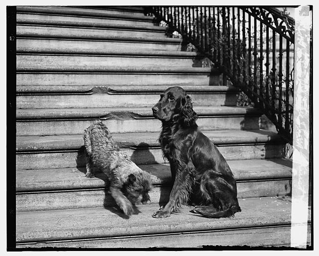 Whoopee & Englehurst, 3/29/29