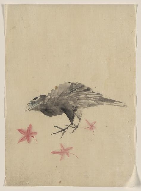 [A bird, possibly crow or raven, facing left, standing...