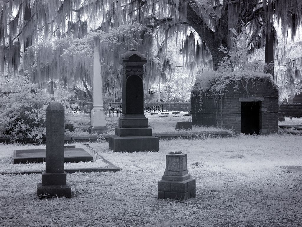 Old Live Oak Cemetery Alabama