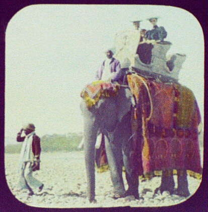Ladies riding on elephant