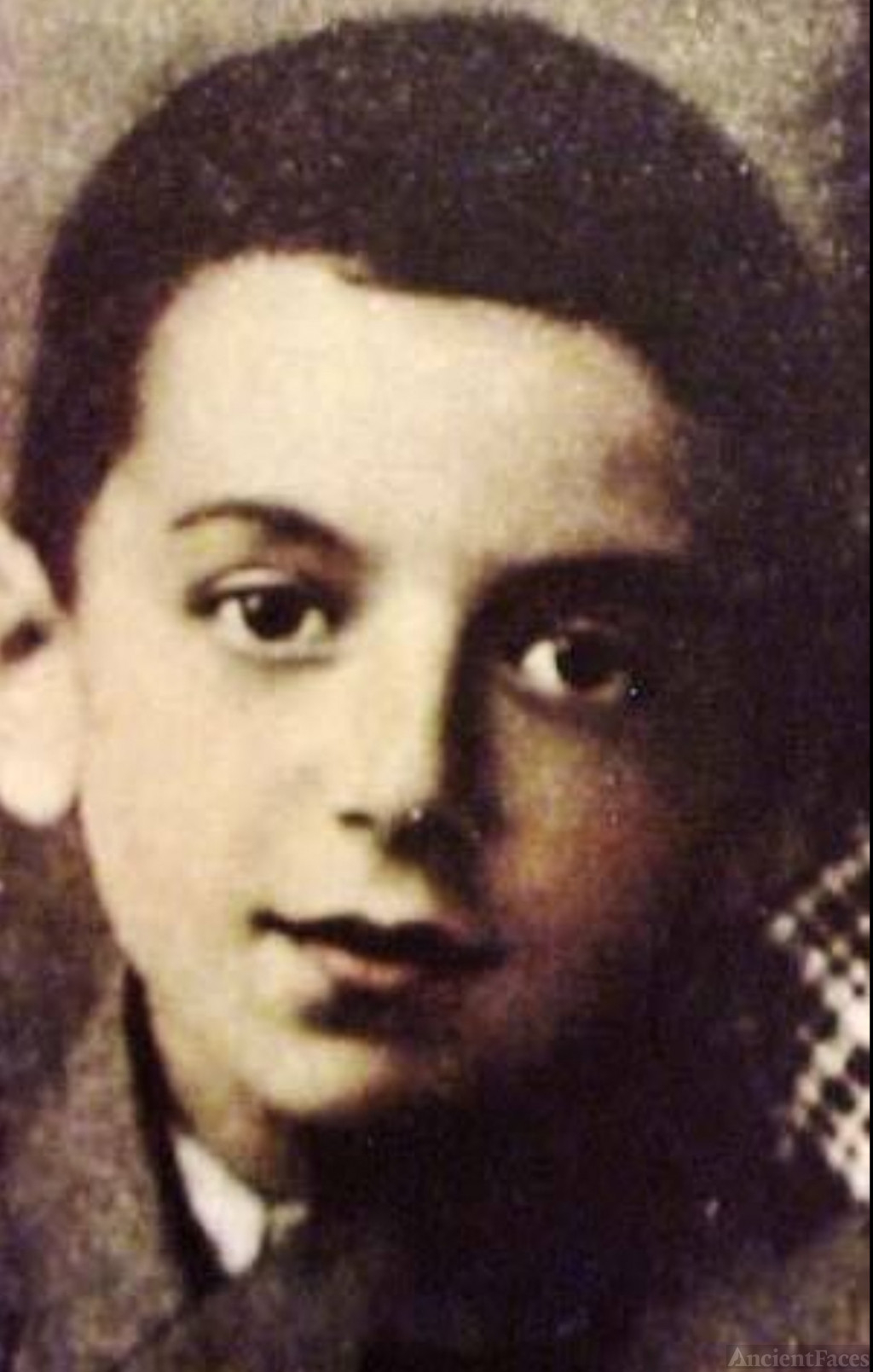Tibor Muller