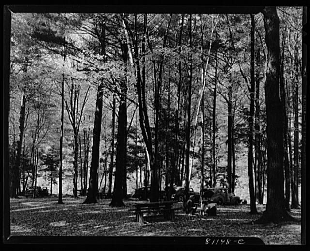 State-owned and run picnic ground and camp site. Mowhawk...