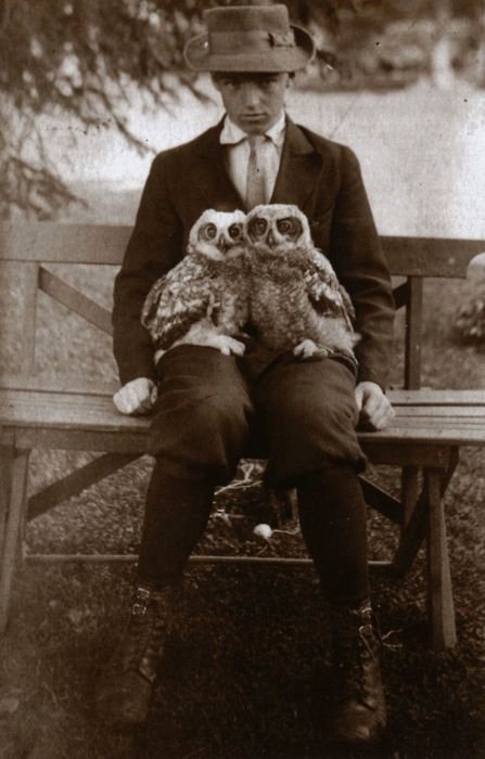 Boy with Pet Owls