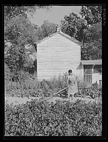 Mrs. Eugene Smith hoeing in her garden. Saint Mary's...