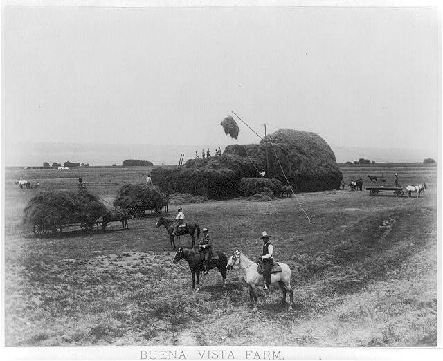 Buena Vista Farm