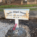 A photo of Sarah Abigail Hall