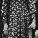 A photo of Bertha Mae (Quick) Radford