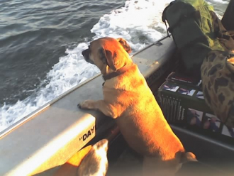 Kenny Kalajdic & Pug “ 