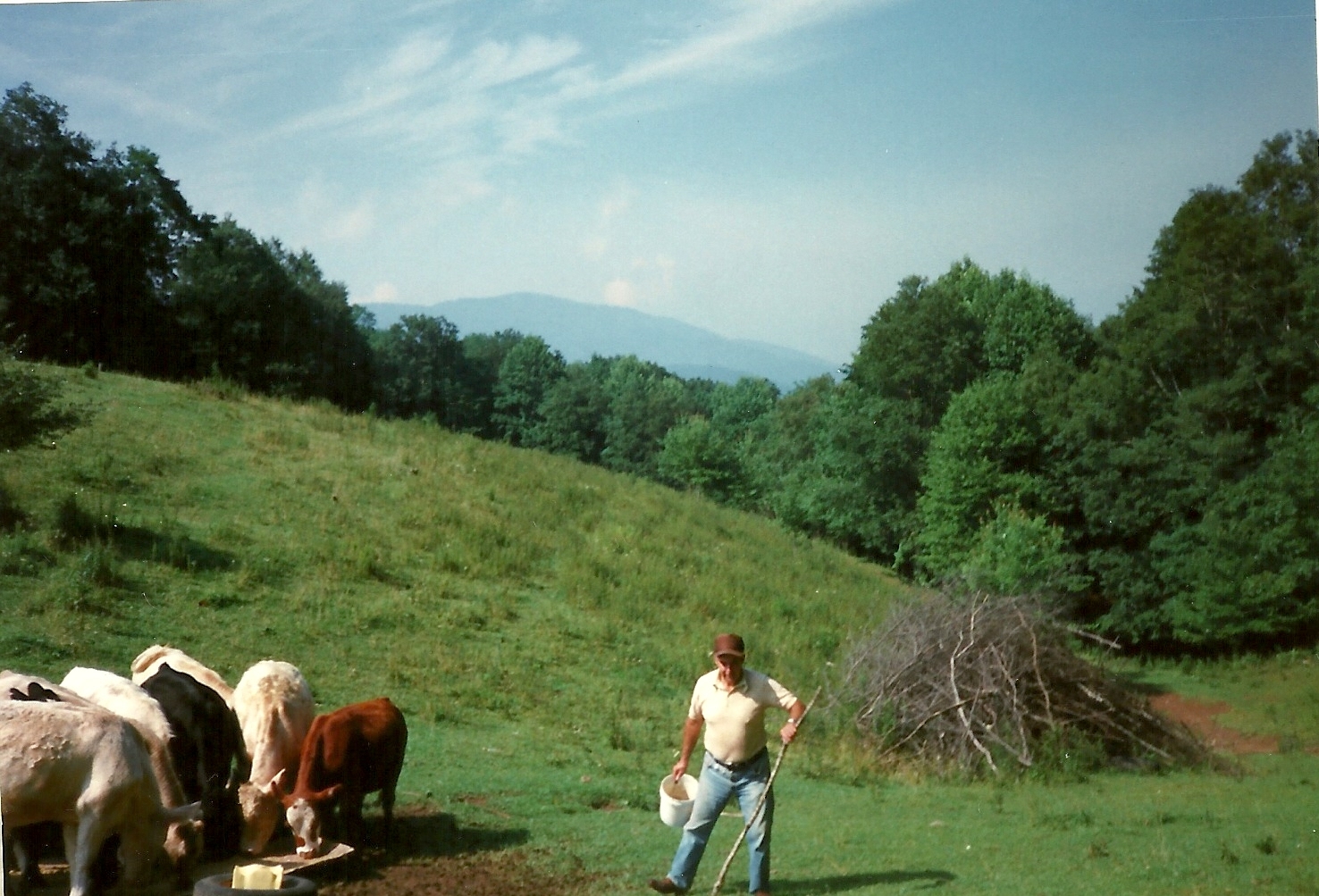 Mont Shepherd, Virginia 1994