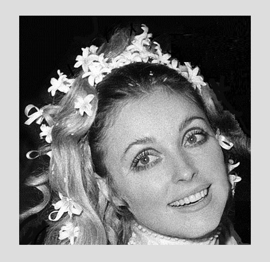 Sharon Tate