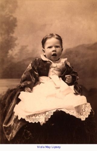 Viola May (Lipsey) Page