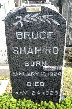 Bruce Shapiro Gravesite