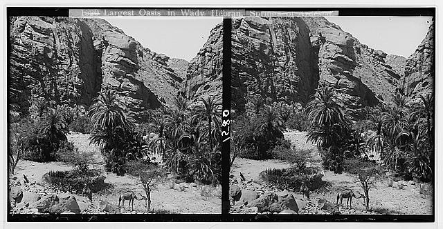 To Sinai via the Red Sea, Tor, and Wady Hebran. Oasis of...