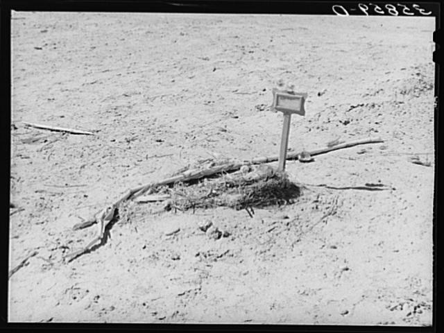 Spanish-American grave in rural section of the Bernalillo...