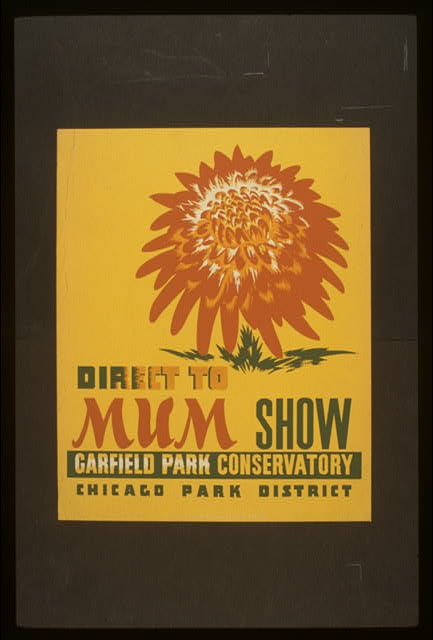 Direct to mum show, Garfield Park Conservatory / Whitley.