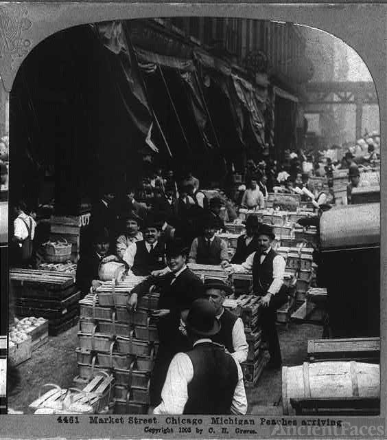 Market Street, Chicago. Michigan peaches arriving