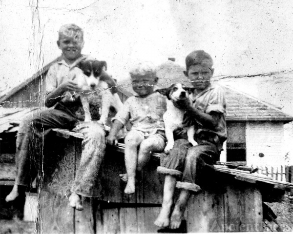 Carl, Joe, and Glen Lamb and their dogs