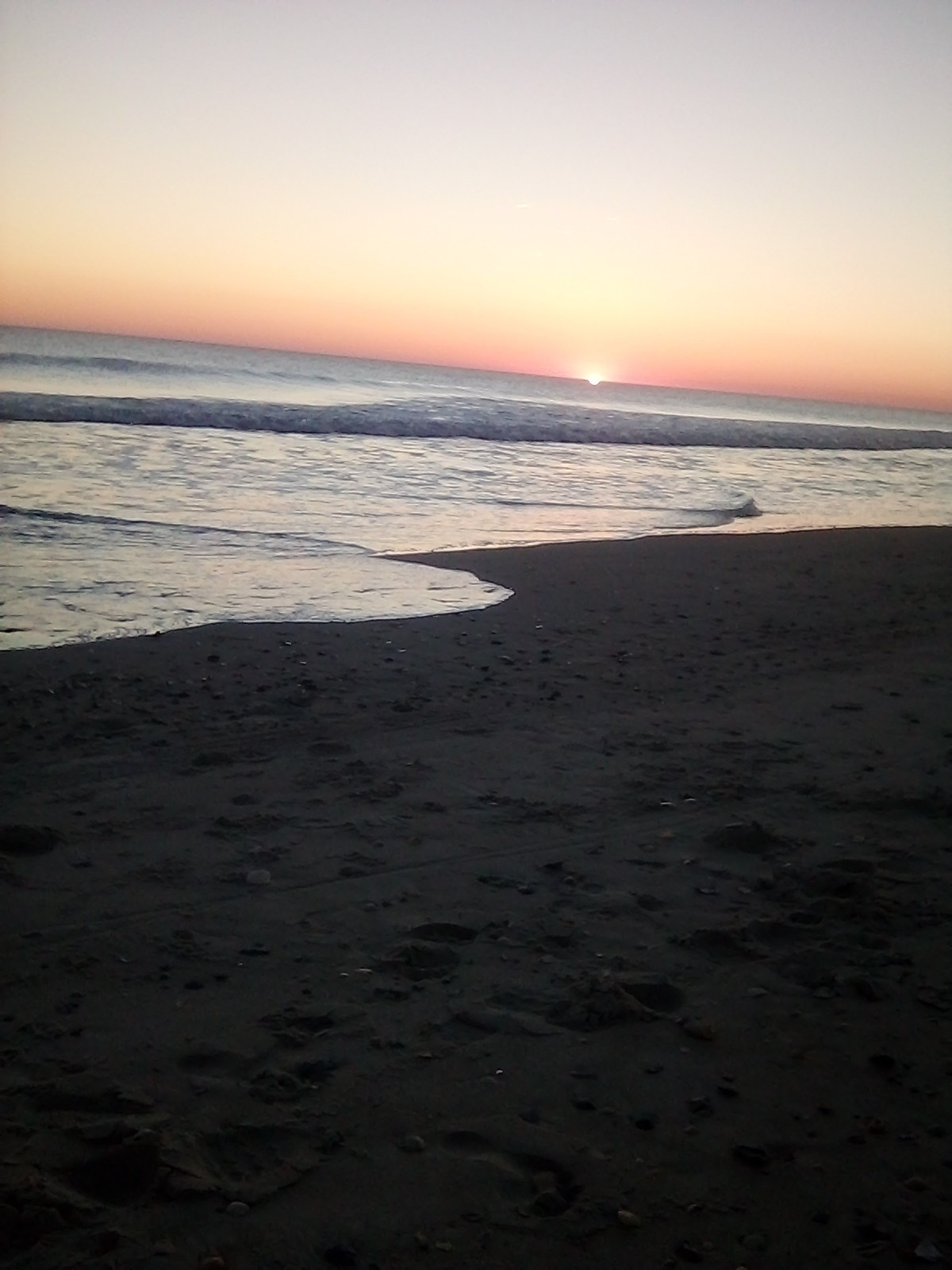 Paradise 