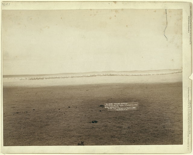 "Grand review." U.S. troops after surrender of Indians at...