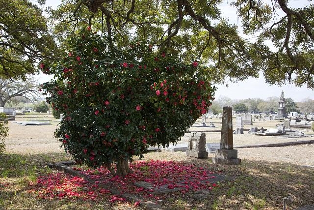 Magnolia Cemetery, Mobile, Alabama