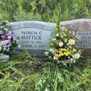 Patricia C Mattick