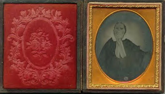 Unknown ancestors Image 3