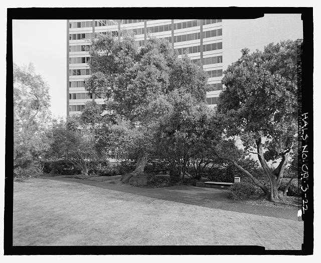 DETAIL VIEW OF PLANTINGS AND SITTING AREA AT EAST SIDE OF...