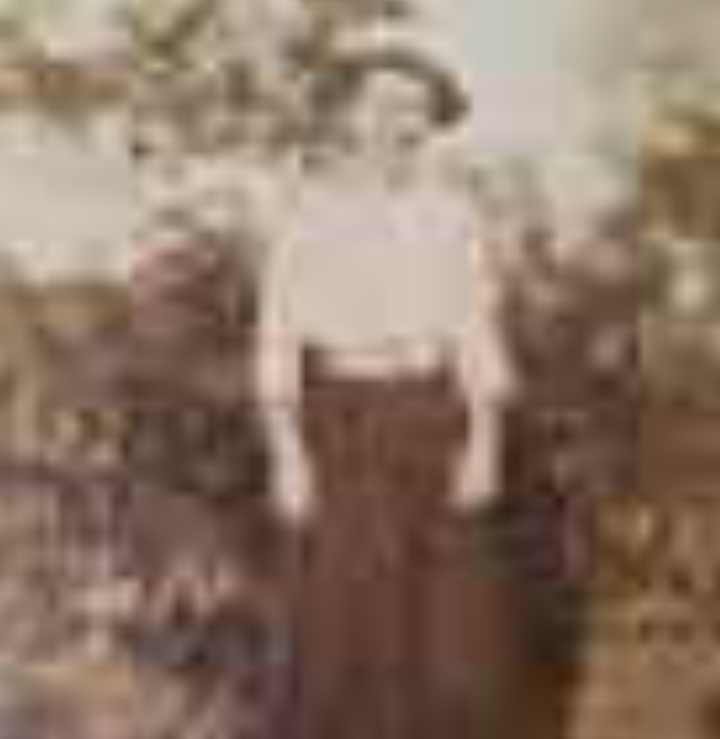 Nettie 