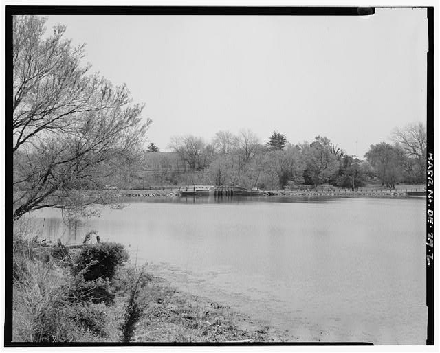 2. VIEW EAST FROM THE NORTH BANK OF WAGAMON POND -...