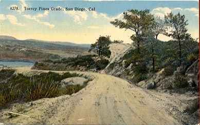 Torry Pines Road