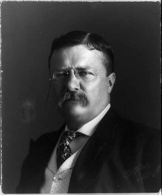 Theodore Roosevelt, Pres. U.S., 1858-1919