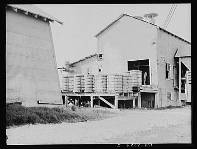 Cotton bales on gin platform. Robstown, Texas