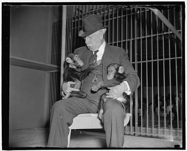 New arrivals at Washington Zoo. Washington, D.C., March...