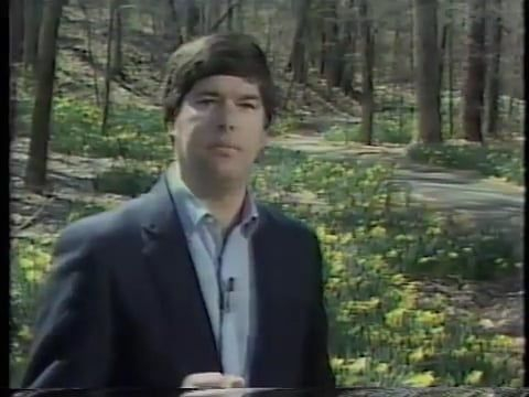 Dennis Smith talks about the elements of Hail, Lightning & Flooding (1987) 