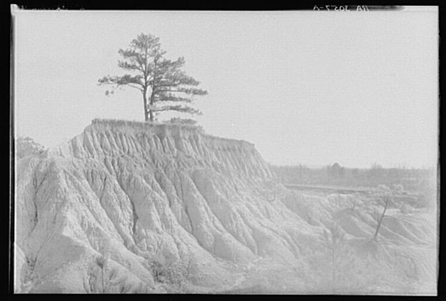 Erosion near Jackson, Mississippi
