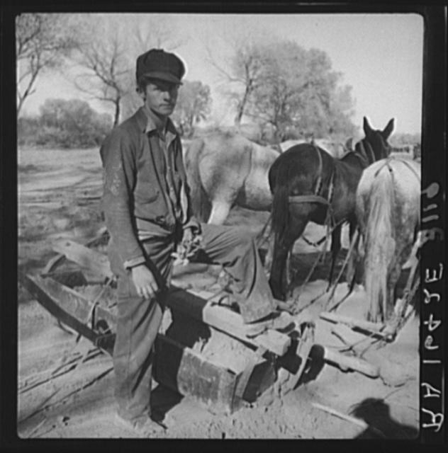 A new start. Bosque Farms project, New Mexico