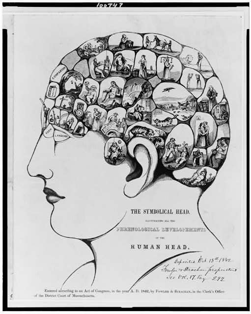 The Symbolical head, illustrating all the phrenological...