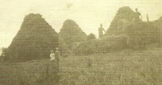 Farming