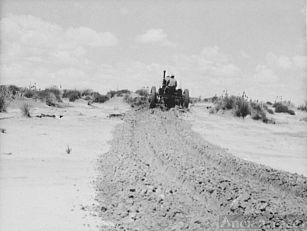 Leveling hummocks in dust bowl, thirty miles north of...