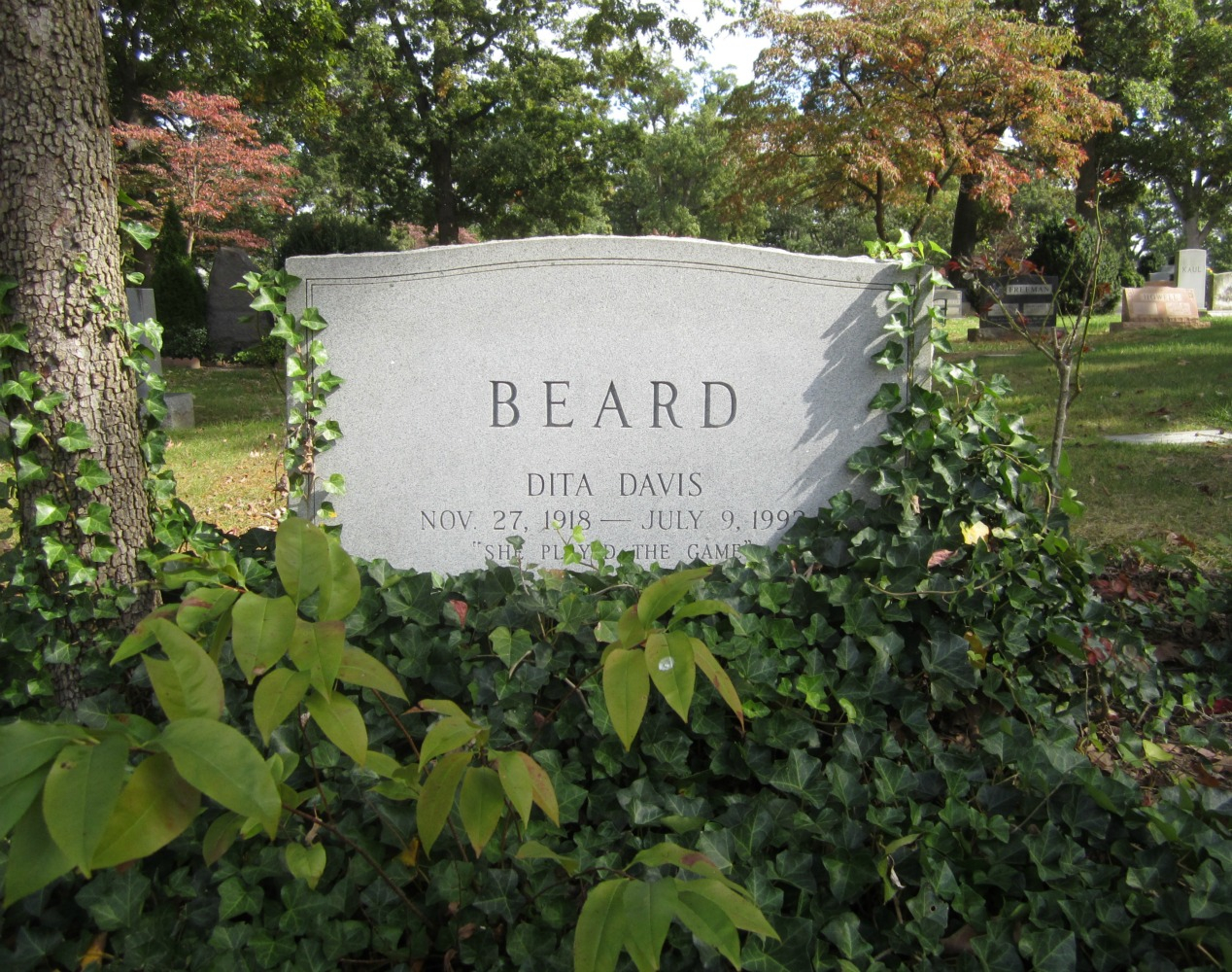 Dita D Beard