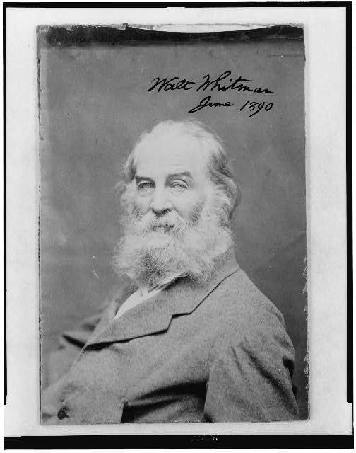 [Walt Whitman as an old man, half-length portrait, seated...